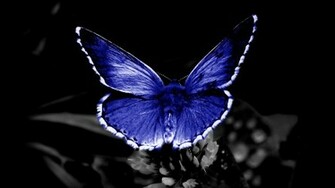 Blue Nature Wallpaper