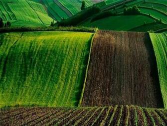 Crops Wallpaper HD Desktopinhq