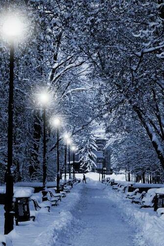 Go Back To Christmas Wallpaper And Screensavers Next Image