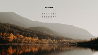 November Wallpaper Bies For Desktop Phones