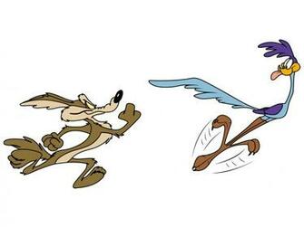 Road Runner Wallpaper Cartoon
