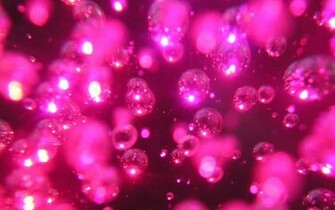 Hot Pink Wallpaper Light Funny