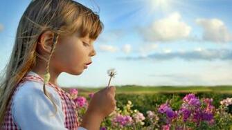 Category Nature HD Wallpaper Subcategory Fields