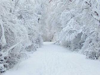 Winter Background Scenery Nature Wallpaper High Definition