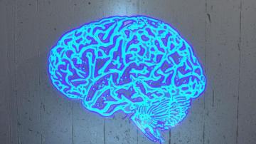 Brain Training Games Don T Boost Iq Here S What Does Vox