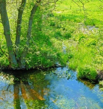 Early Spring Pictures All Wallpaper New