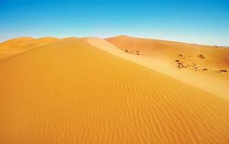 Desert Scene HD Wallpaper Background