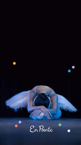 Mobile Screens En Pointe Dance School