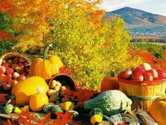 Tomatoes On The Vine A Fall Getaway