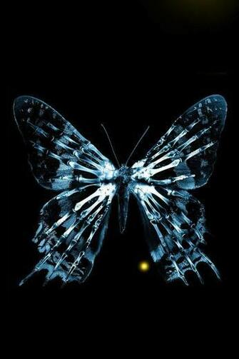 Fringe Butterfly iPhone HD Wallpaper Gallery