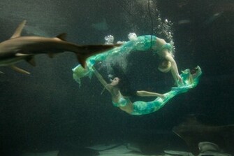 Mermaids Background Wallpaper