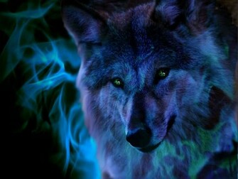 Cool Wolf Pic The Anubian S Pack Photo