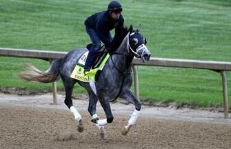 People Are Betting On A Horse When The Race Opens In U S Maximum
