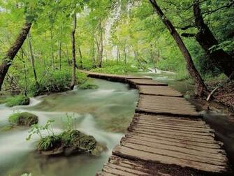 Cool Wallpaper Natural Scenes