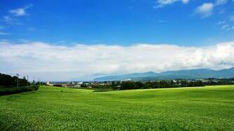 Open Field Wallpaper