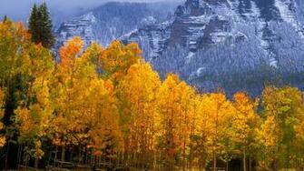 Details Background Colorado High Travel Country Wallpaper