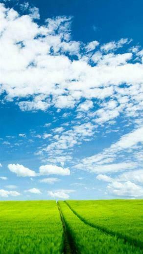 Sky Grass Samsung Galaxy S4 S5 Wallpaper HD