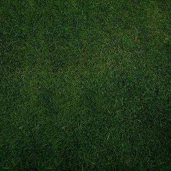 Sniperyu Plain Green Grass Texture iPad Wallpaper