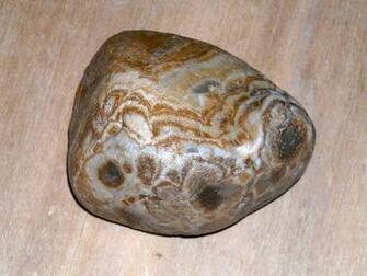 Nebraska State Rock Prairie Agate