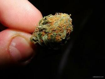 Weed Wallpaper