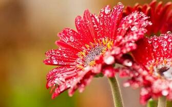 Mobile Wallpaper Water Stock Photos High Quality Organic