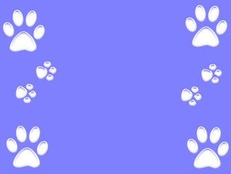 Dog Paws Wallpaper On