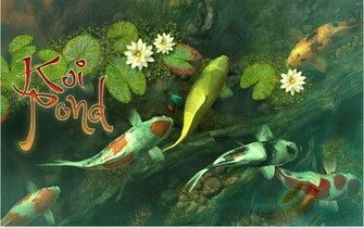 Koi Pond