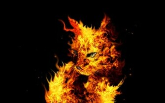 HD Wallpaper Cool Flames