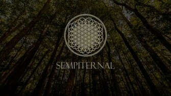 Bring Me The Horizon Sempiternal Wallpaper By Toameiko
