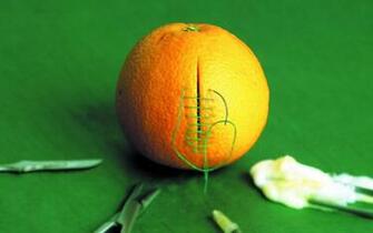 Orange Funny Medical Stitch Cutting Green Background Wallpaper