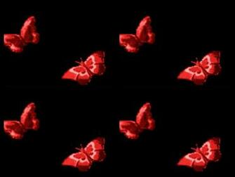 Butterflies Image Background Of Butterflys Wallpaper