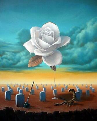 Jahra Wedding Disaster By Nawaf Alhmeli