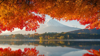 Fall Volcano And Orange Trees Wallpaper