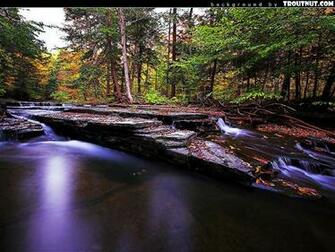 Check Out Our Scenic Wallpaper Named Or Browse From