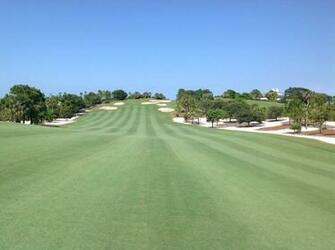 Pebble Beach Golf Wallpaper Weddingdressin
