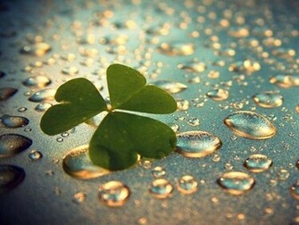 Good Luck Wallpaper To Your Cell Phone Clover Cool