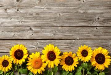 Rustic Spring Wallpaper Top Background