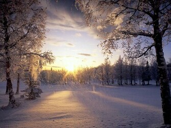 The Snow Wallpaper Desktop Background