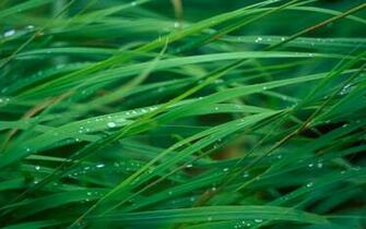 Best HD Wallpaper For Ubuntu Linux Hint