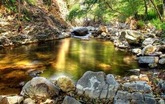 Forest Stream Wallpaper HD