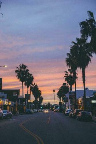 Venice Beach California Sunset Palm Trees Photography
