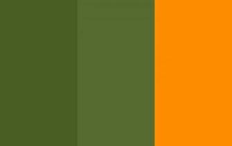 Dark Moss Green Olive Orange Three Color Background