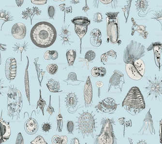 Giant Protozoa Bestiary Light Blue Wallpaper Chantal