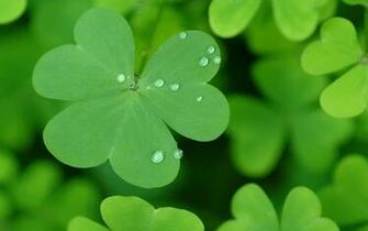 St Patricks Day Desktop Wallpaper