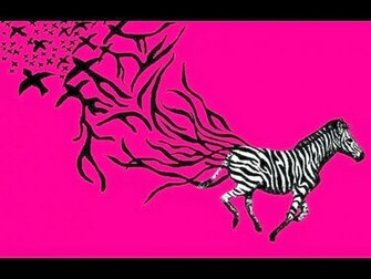 Zebra Wallpaper Print Border Pink