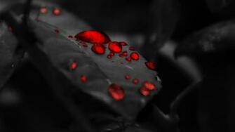 Desktop HD Red Wallpaper 1080p