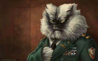 Wallpaper Picture General Cat Epaulettes Desktop