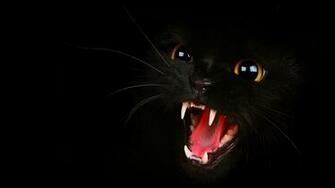 Black Cat Lesson Plan For Teaching Suspense Ela Common Core