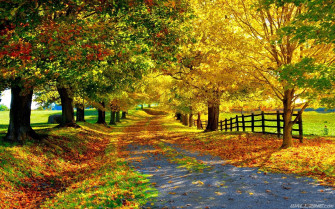 Beautiful Autumn HD Desktop Wallpaper