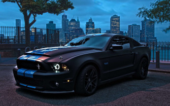 Mustang Screensavers And Wallpaper